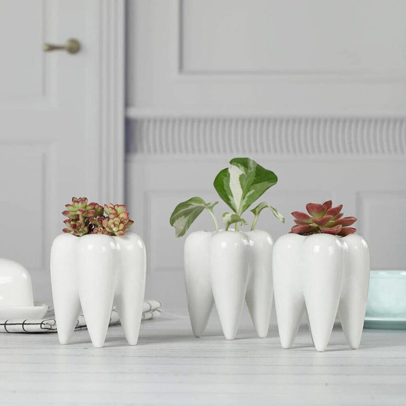 Vases en forme de dent