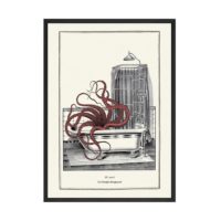 50x70cm