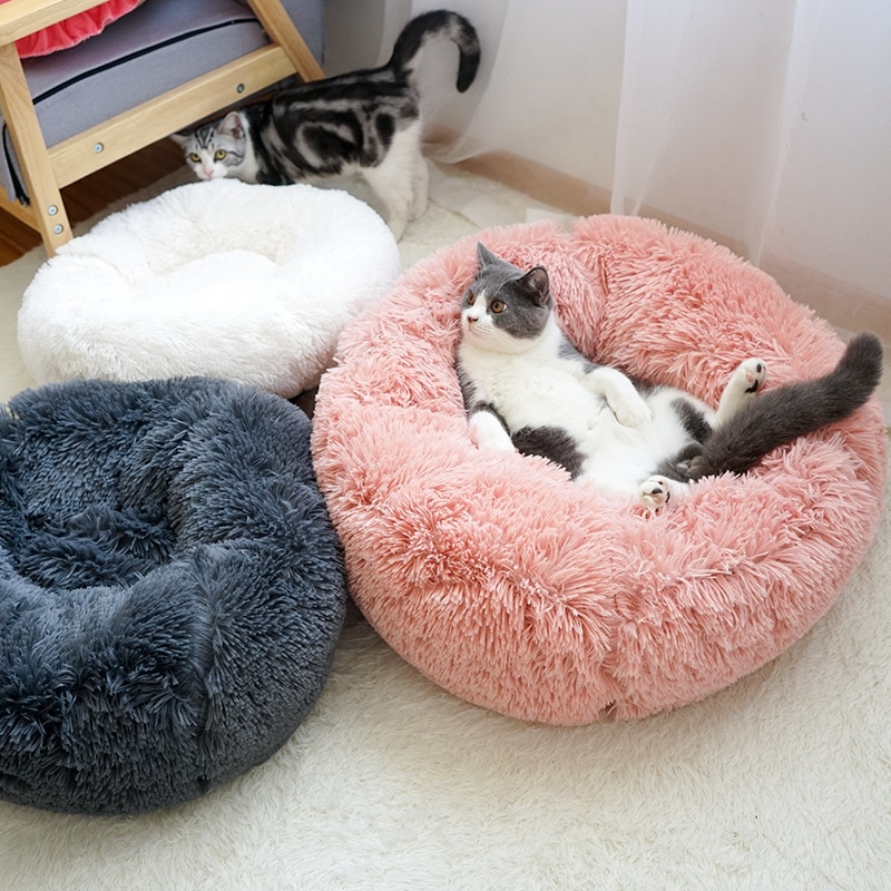 Coussin confortable pour animaux - Le Clap Store