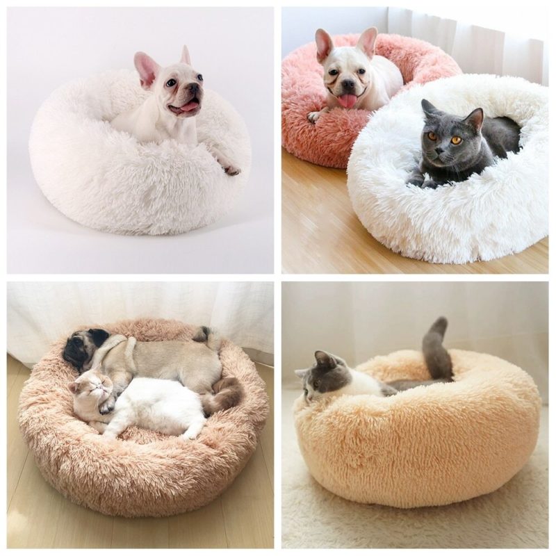 Mosaique de 4 photos d'animaux sur le coussin confortable