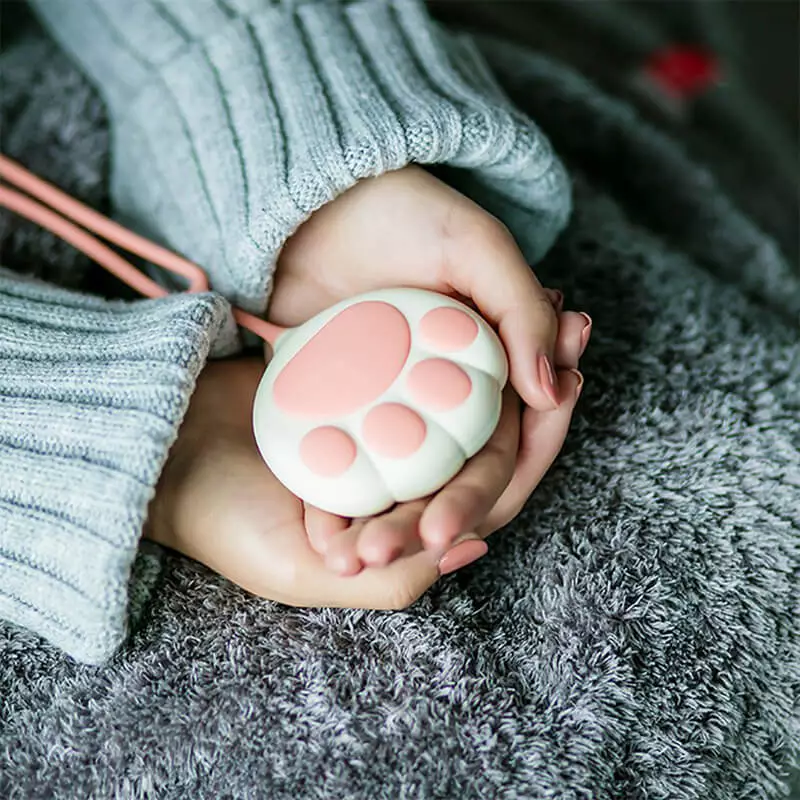 Batterie chat et chauffe mains