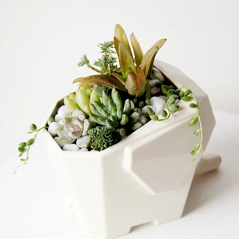 égoutoir éléphant blanc avec plante