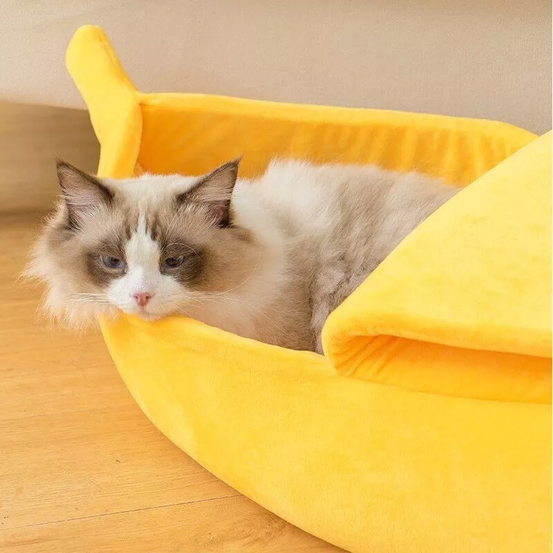 Chat dans le lit coussin banane