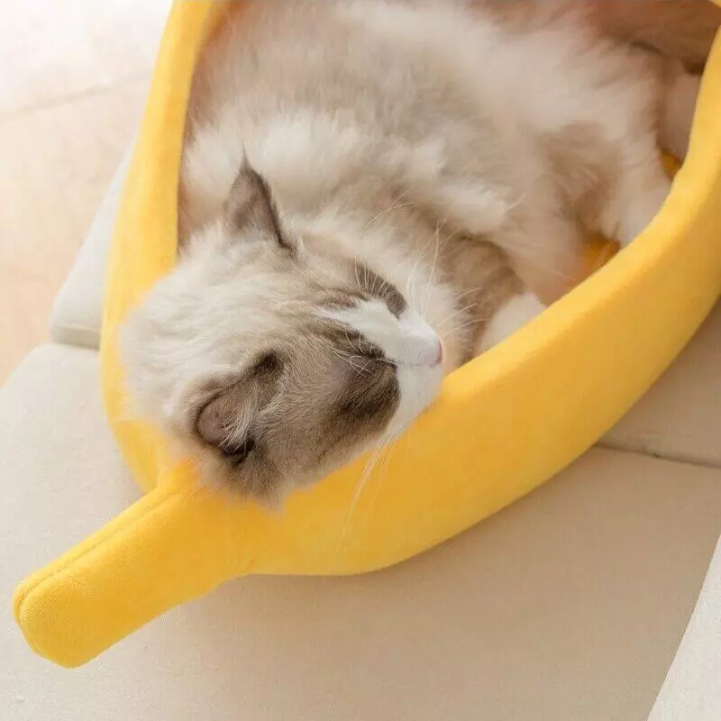 coussin pour dormir banane pour chat