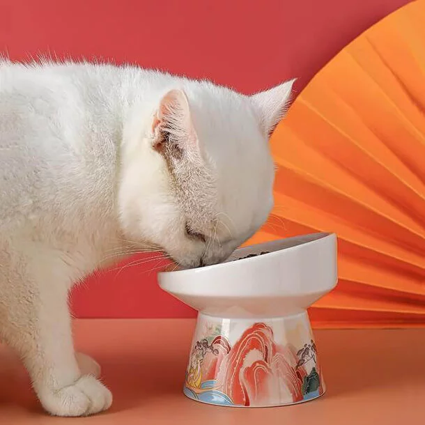 Bol surrelevé en porcelaine pour animal de luxe