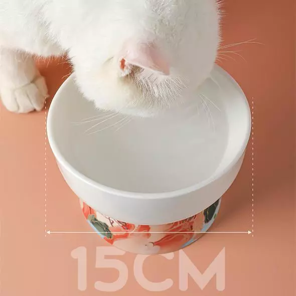 Gamelle haut de gamme pour chat