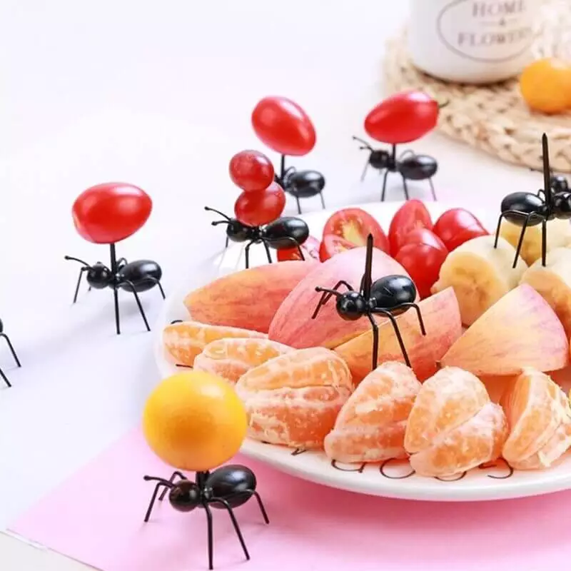 Présentation originale pour fruits