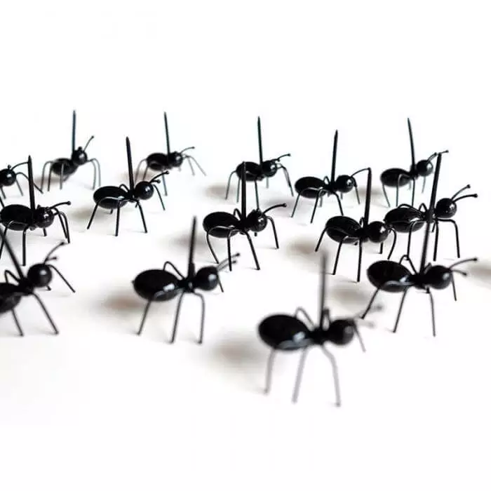 Pic apéro en forme de fourmis