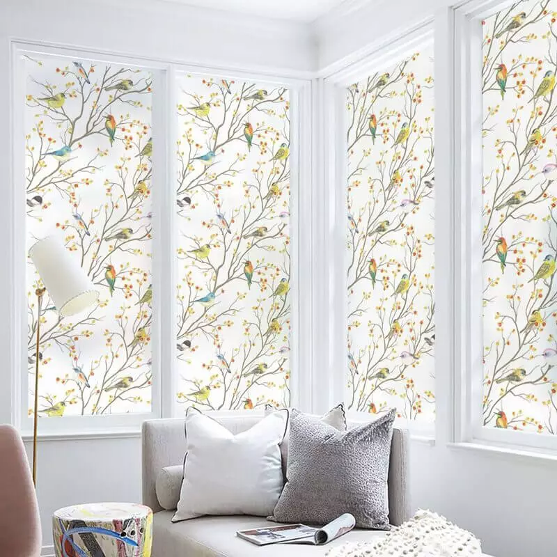 Film décoratif pour fenêtre motif oiseaux