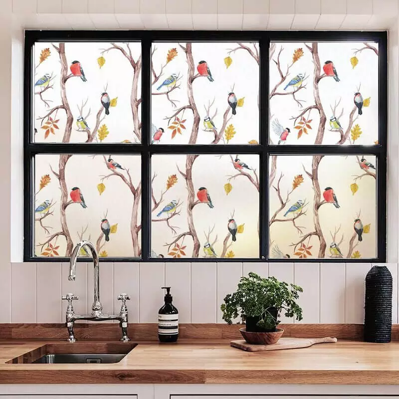 Film occultant de cuisine motif oiseaux